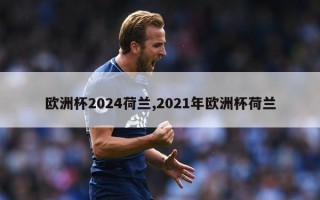 欧洲杯2024荷兰,2021年欧洲杯荷兰