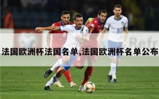 法国欧洲杯法国名单,法国欧洲杯名单公布