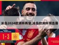 冰岛2024欧洲杯阵容,冰岛欧洲杯预选赛