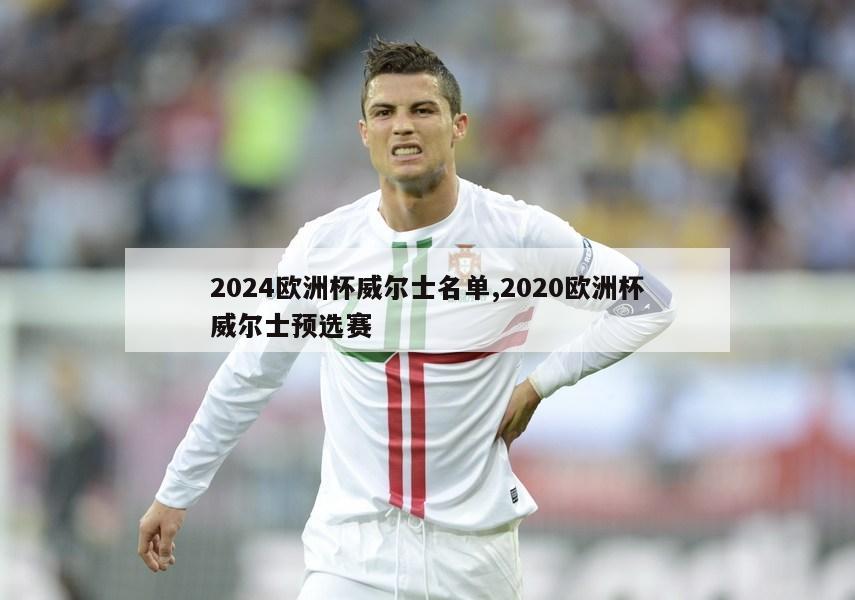 2024欧洲杯威尔士名单,2020欧洲杯威尔士预选赛