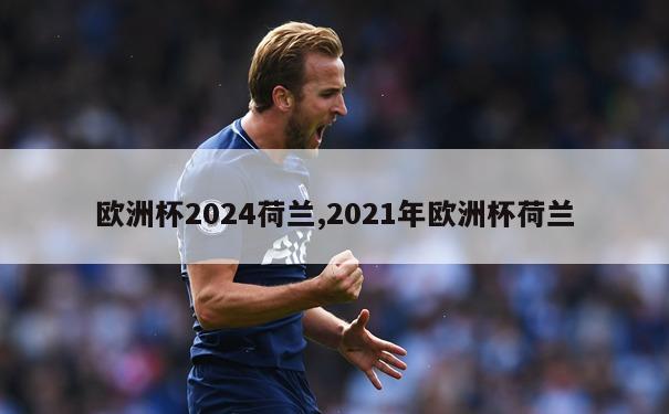 欧洲杯2024荷兰,2021年欧洲杯荷兰