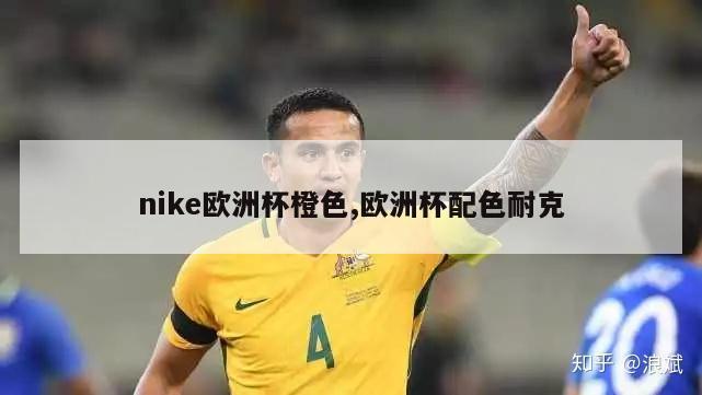 nike欧洲杯橙色,欧洲杯配色耐克