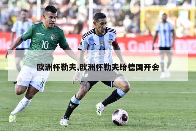 欧洲杯勒夫,欧洲杯勒夫给德国开会