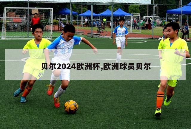 贝尔2024欧洲杯,欧洲球员贝尔