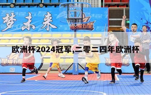 欧洲杯2024冠军,二零二四年欧洲杯