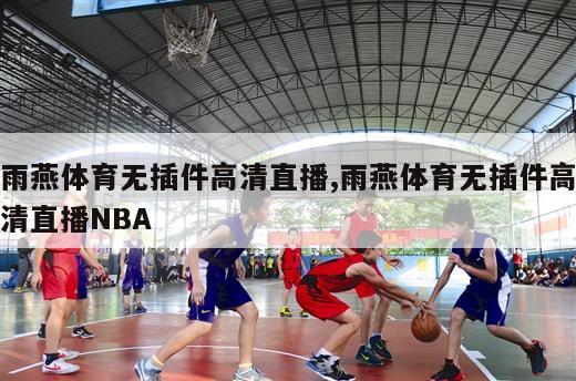 雨燕体育无插件高清直播,雨燕体育无插件高清直播NBA