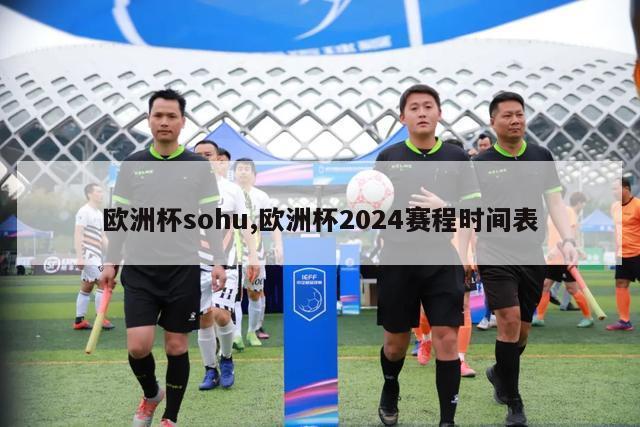 欧洲杯sohu,欧洲杯2024赛程时间表