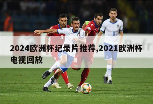 2024欧洲杯纪录片推荐,2021欧洲杯电视回放